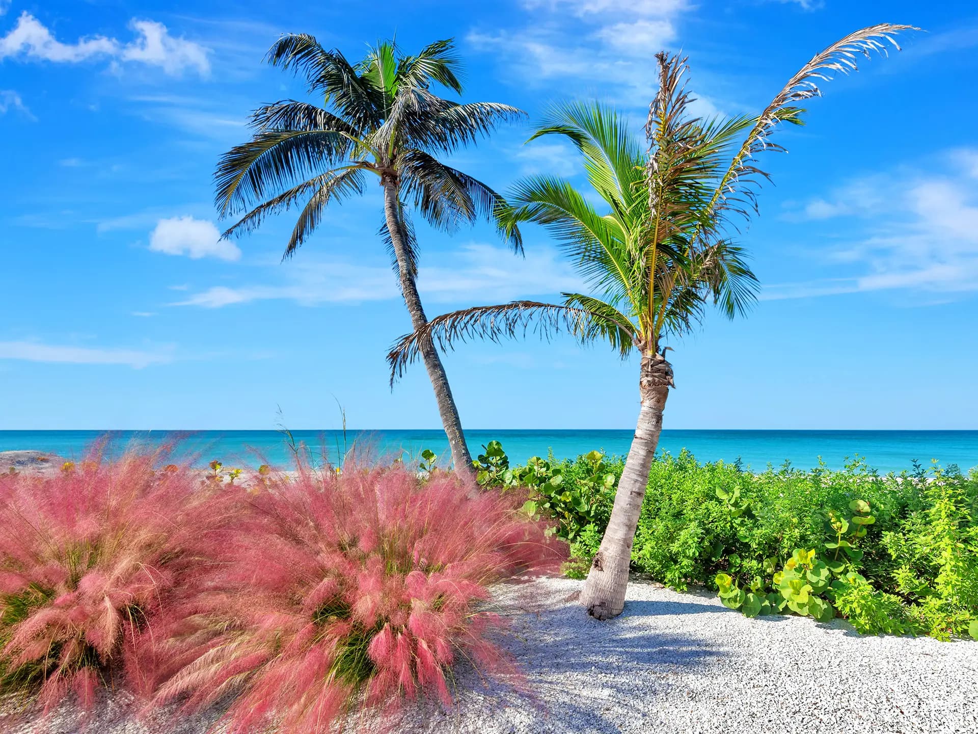 Coastal property exterior and beachfront landscape overview in Englewood Beach, FL, photographed by HDR Media Pro.
